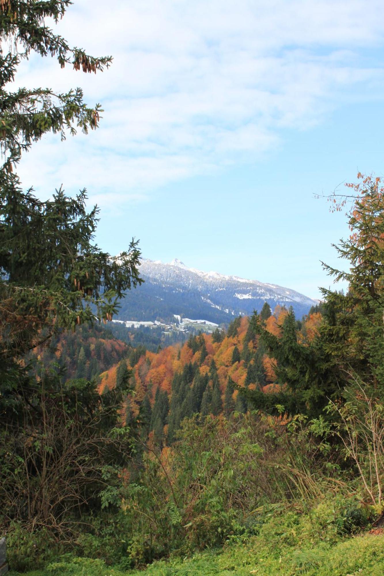 Edelweisshof Hotel Birnbaum Kültér fotó